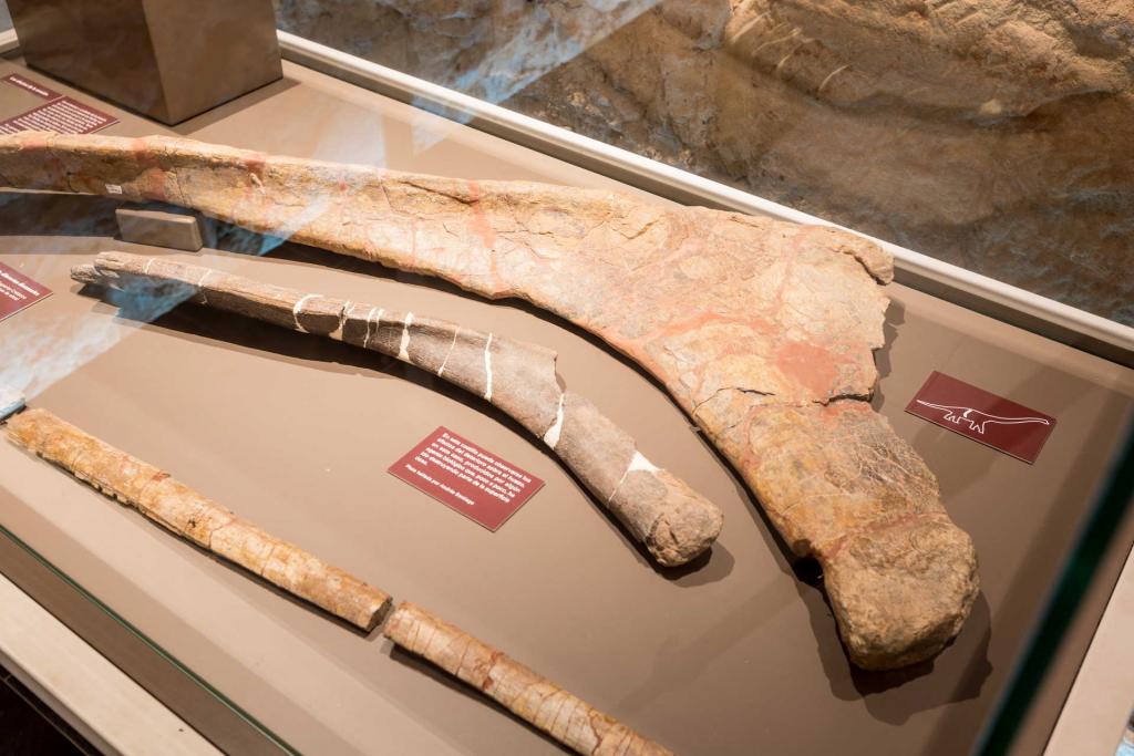 La huella de los dinosaurios en la Comunitat Valenciana: un patrimonio vivo de millones de años